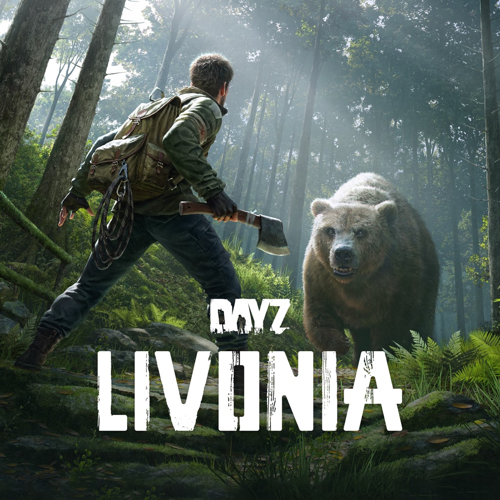 CRNS DayZ Test Server